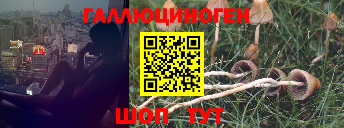 Псилоцибиновые грибы мухоморы Ростов-на-Дону