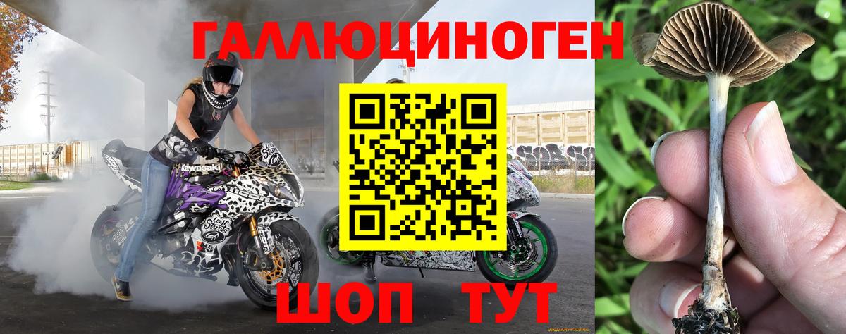 Ростов-на-Дону  Галлюциногенные грибы мухоморы  Вход с VPN 